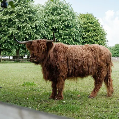 Hotel Ferme D'ecavéé